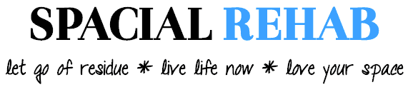 Spacial Rehab Logo